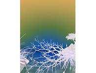 First light (128 Ko)